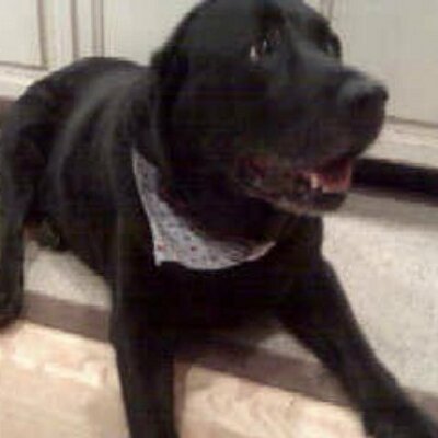 Profile Picture of Ted Kapnek (@tkapnek) on Twitter