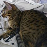 Profile Picture of Julia Lapointe (@julia.lapointe.169) on Instagram