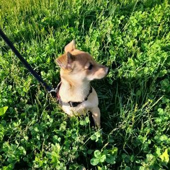 Profile Picture of Andrew (@andrew.milano) on Tiktok