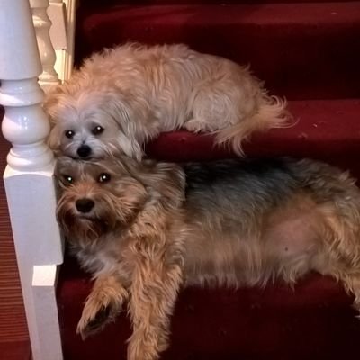 Profile Picture of Lynnscullion (@Lynnscullion1) on Twitter