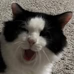 Profile Picture of Katherine St Clair (@lisa.han.1840) on Facebook