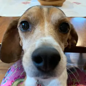 Profile Picture of Mikeyboy (@mikey.ferderer) on Tiktok
