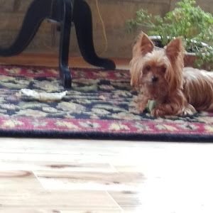 Profile Picture of Skipperann (@skipperann5) on Tiktok