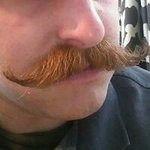 Profile Picture of Matthew Rollins (@mr.lpoo) on Instagram