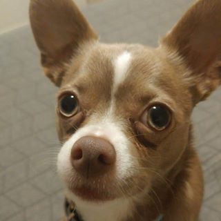 Profile Picture of Stacy HarmanFriesner (@stacy.harmanfriesner) on Facebook