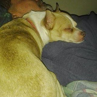 Profile Picture of Harold Mccune (@Harold-Mccune) on Facebook