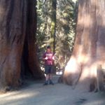 Profile Picture of brett wallis (@brettwallis7117) on Instagram