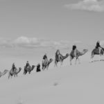 Profile Picture of Javier de Miguel (@javierdeemiguel) on Instagram