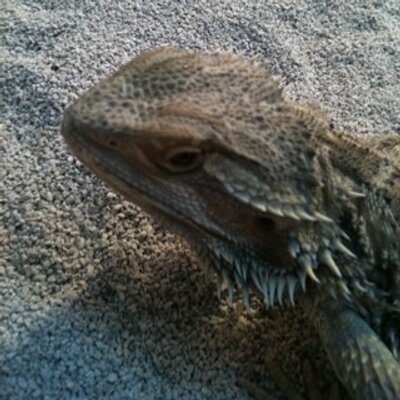 Profile Picture of Mickey Hayes (@micvichay10) on Twitter