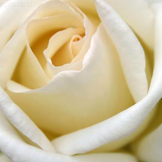 Profile Picture of Margherita Gist (@margherita.gist) on Facebook