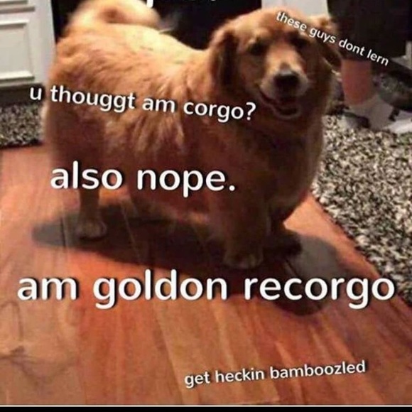 Profile Picture of Get hecking bamboozled Millner (@shibenation) on Poshmark