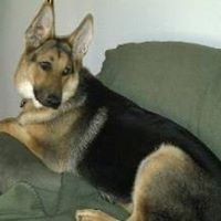 Profile Picture of Nancy Bell (@nancy-bell-23) on Quora