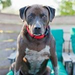 Profile Picture of Fred Null (@frednull) on Instagram