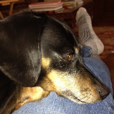 Profile Picture of Drew McElroy (@DocEamc2) on Twitter