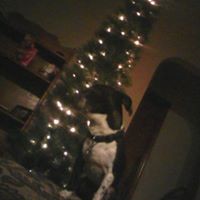 Scott Degeorge - Quora Profile Picture of Scott Degeorge (@scott-degeorge-1) on Quora