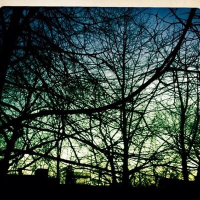 Profile Picture of Joanna Wilkinson (@roxannemahoney) on Twitter