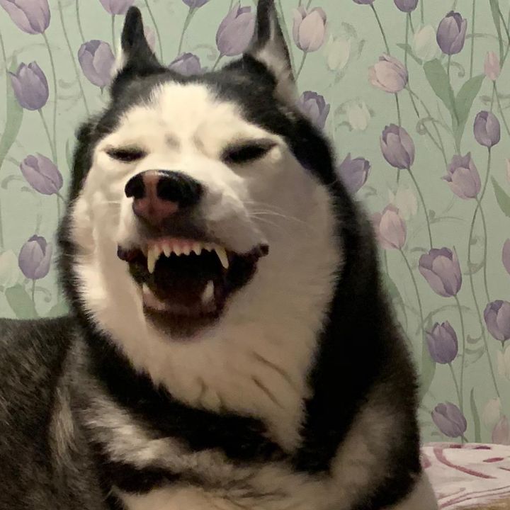 Profile Picture of _Mary_And_Basta (@_maryand_) on Tiktok
