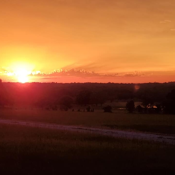 Profile Picture of Tristan Chandonnet (@t_chandonnet) on Poshmark