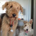 Profile Picture of Patrick Francoeur (@patrick_francoeur) on Instagram