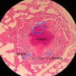 Profile Picture of 乾酪壊死 (@zachary_goode_cam) on Instagram