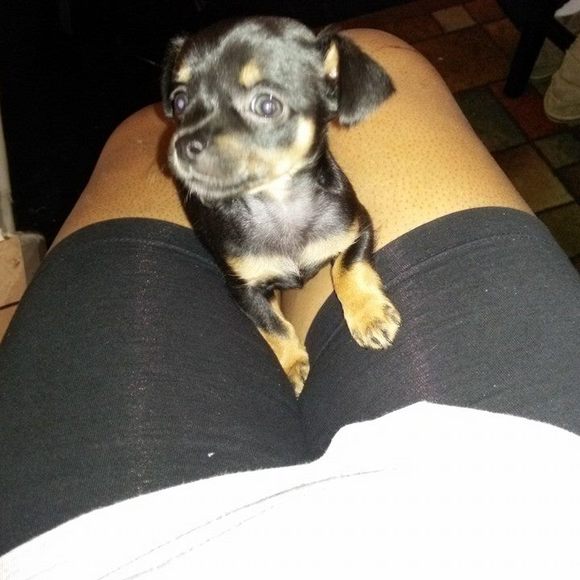 Profile Picture of Christa Blunt (@renay43) on Poshmark