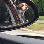 Profile Picture of Ben Trost (@bennnnnn79) on Instagram