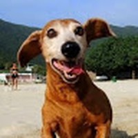 Profile Picture of Ricky Triplett (@ricky-triplett-3) on Quora