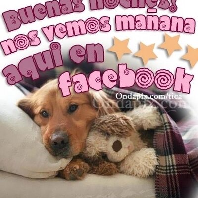 Profile Picture of Jemmy Castro (@bbtahermosa05) on Twitter