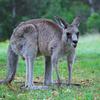 Profile Picture of Donovan Baucom (@d.t.baucom) on Tiktok