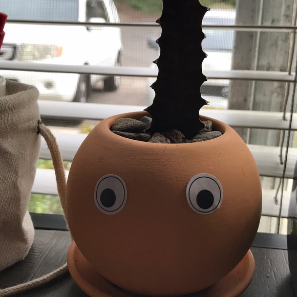 Profile Picture of Rosa Gonzalez (@rosa147) on Poshmark