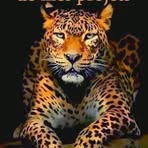 Profile Picture of Bradley Casterman (@Bradley-Casterman) on Facebook