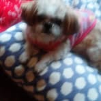 Profile Picture of Phyllis Luttrell (@phyllis.luttrell.50) on Facebook