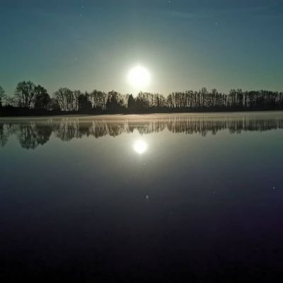 Profile Picture of Daniel Risse (@DanielRisse1) on Twitter