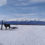 Igor Yakovlev - Instagram Profile Picture of Igor Yakovlev (@igoryakovlev1988) on Instagram