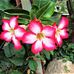 Profile Picture of Hilda Patterson (@hilda.patterson.1023) on Facebook