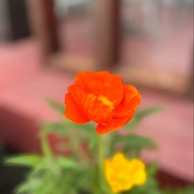 Profile Picture of Viviana Cordero (@vivi08cord) on Pinterest