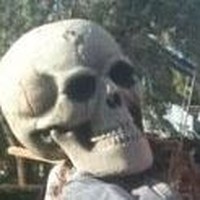 Profile Picture of Steve Coman (@steve-coman-2) on Quora