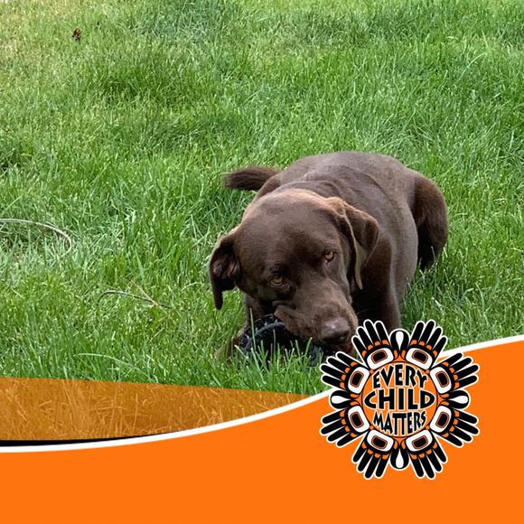 Profile Picture of Gary Sandercock (@gsandercock44) on Poshmark