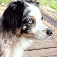 Profile Picture of Tim Monroe (@tim-monroe-18) on Quora