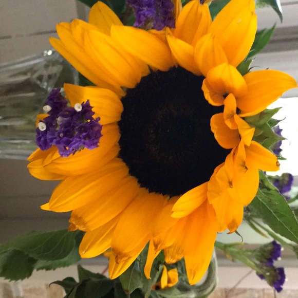 Profile Picture of Catherine Taughinbaugh (@cate503) on Poshmark