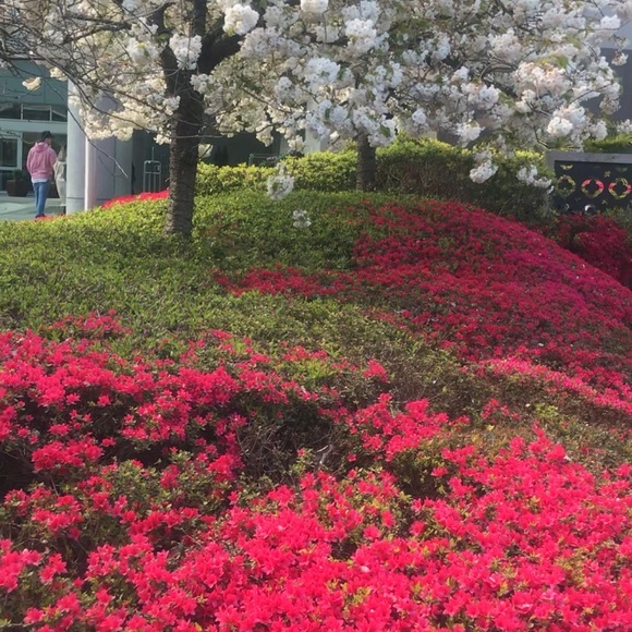 Profile Picture of Behnaz Hadjian (@nbhadjian) on Poshmark