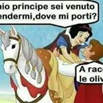 Profile Picture of Vincenzo Adamo (@adamo.bio) on Instagram