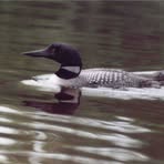 Cathy Hovel - Facebook Profile Picture of Cathy Hovel (@cathy.hovel) on Facebook