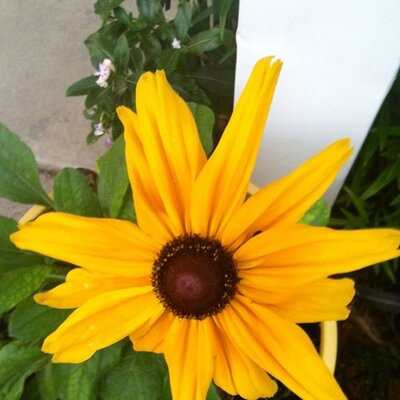 Profile Picture of Jenny Wakefield (@JennyWakefield) on Twitter