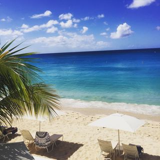 Profile Picture of Carolyn Kremins (@carolynkremins) on Instagram