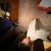 Profile Picture of Sam Weinberg (@sam.weinberg.161) on Facebook