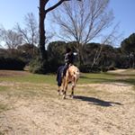 Profile Picture of Alice Bartolini (@alibartolini_) on Instagram