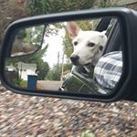 Profile Picture of Eric Lloyd Ebner (@elebner) on Instagram