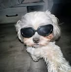 Profile Picture of Marcus Joaquin (@mr.cuzzjoaquin) on Facebook