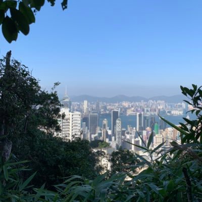 Profile Picture of Lily Chen (@LilyChe07814263) on Twitter